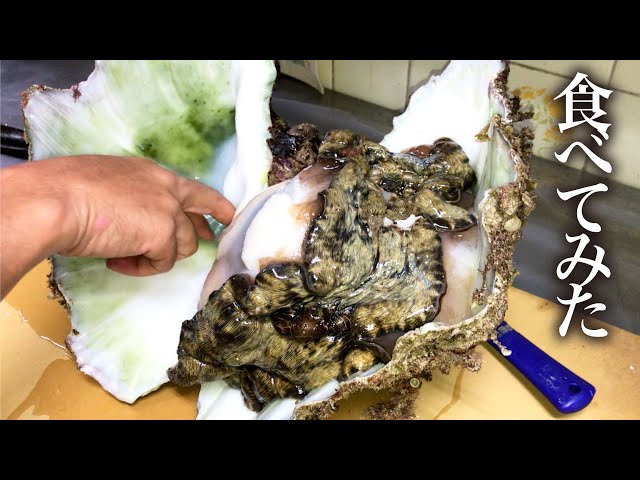 When I cut open the giant man-eating giant clam, the contents were