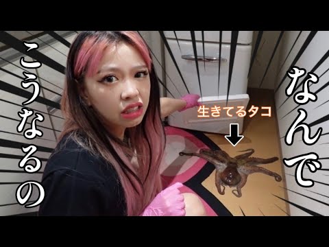 かきくけkotty《矯正ちゃん🦷》 - YouTube