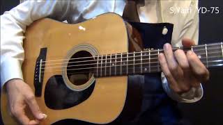 オール単板 S.Yairi YD-75【オットリーヤちゃんねる】 - YouTube