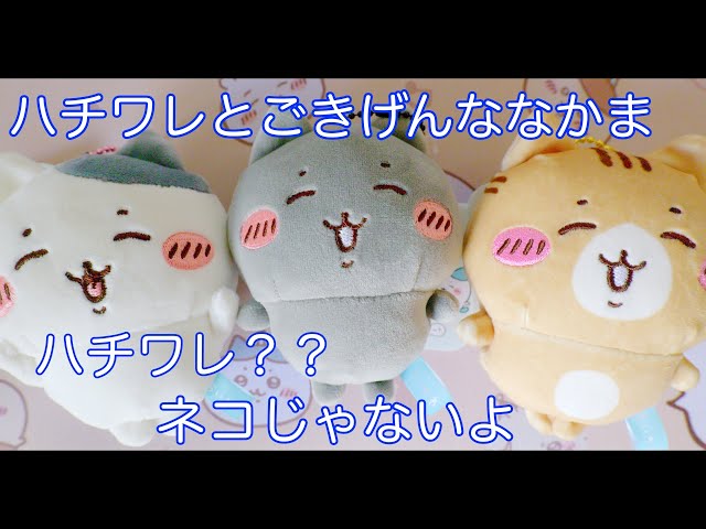 104 【ちいかわ】ハチワレ？？ごきげんマスコット開封・紹介