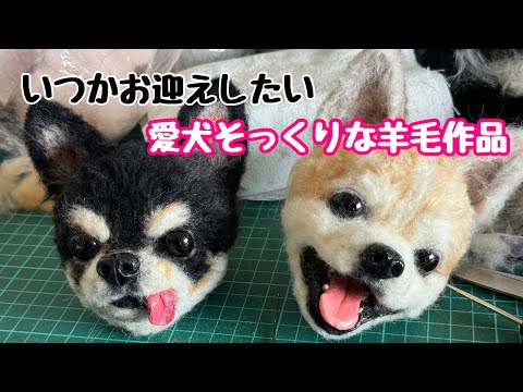 わたわたペットwatawatapets - YouTube