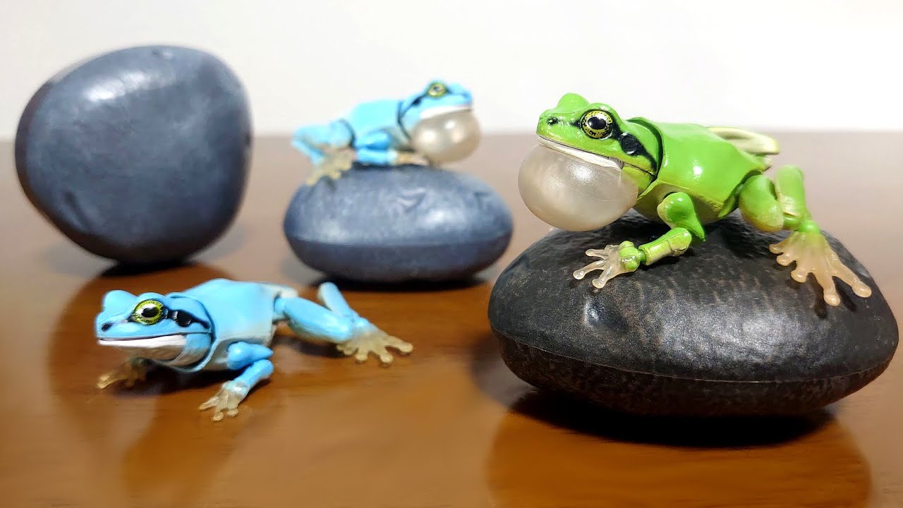 A tree frog in Ikimono Encyclopedia Advanced!) Ikimono