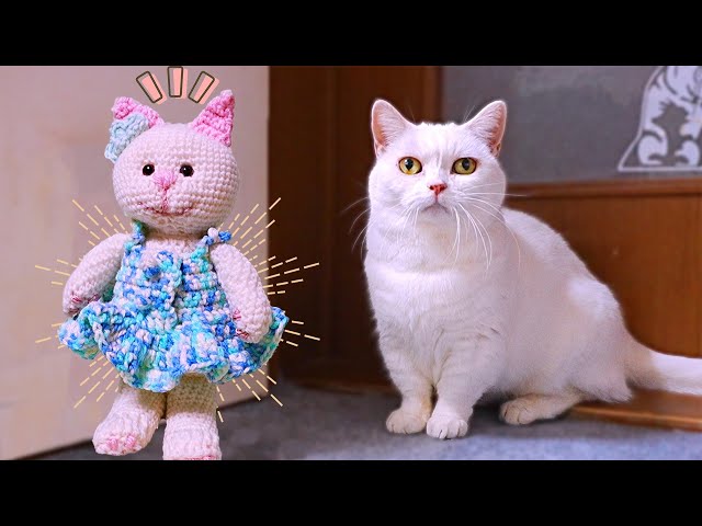 ラムみたいな白猫のあみぐるみを作ってみたよ！ - YouTube