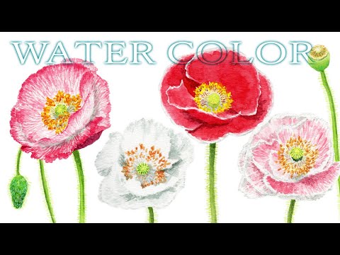 アナログ水彩】3色のポピーの花を描く【メイキング】 - YouTube