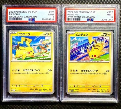 2 PSA9 2024 Pokemon SV-P JP Pikachu GYM Event Campaing #197 #120