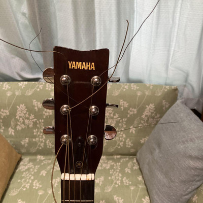 Acoustic Guitar Yamaha FG-151B Natural HIGH QUALITY SOUND | eBay