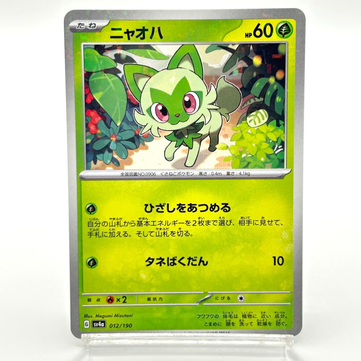 Sprigatito ニャオハ Nyahoja G SV4a 012/190 Japan Japanese Basic