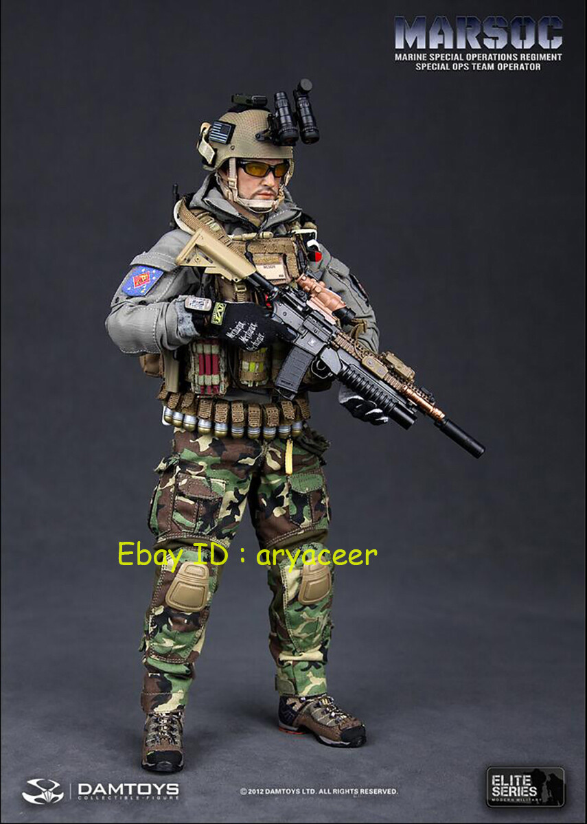 DAMTOYS 78007 1/6 Marsoc Special OPS Team Operator Figure Model In