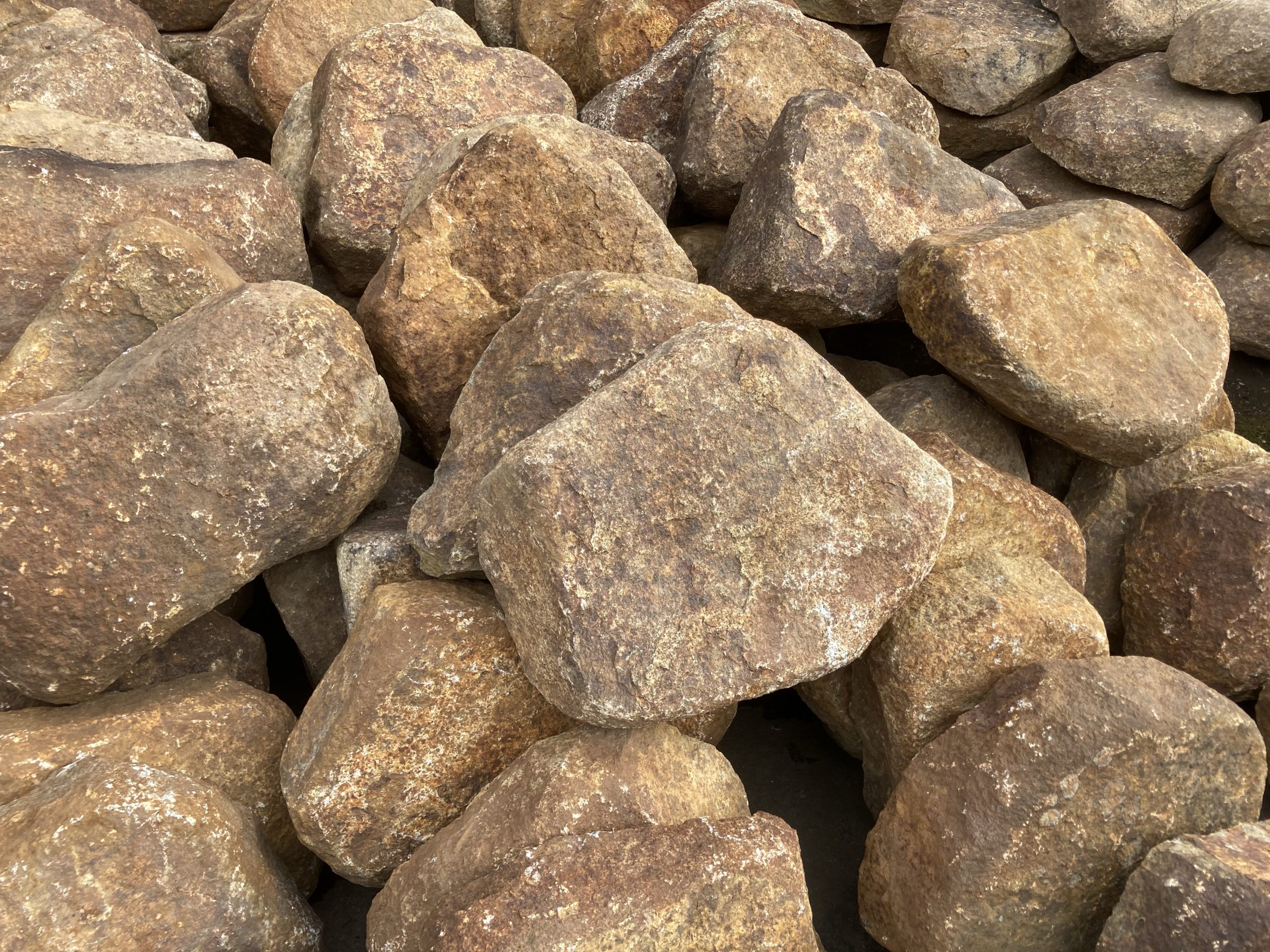 img_0940-scaled.jpg?fit=1200,