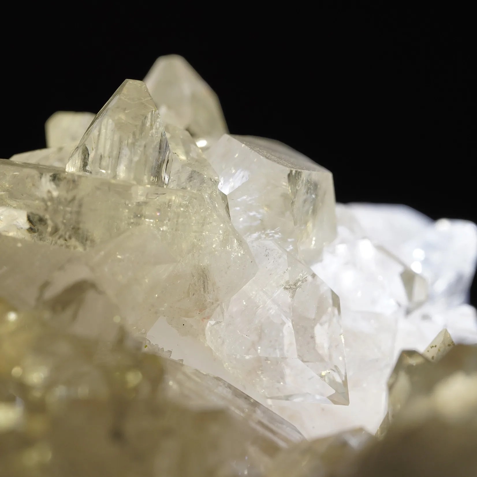 296-7.jpg?fit=1652,1652&ssl=1