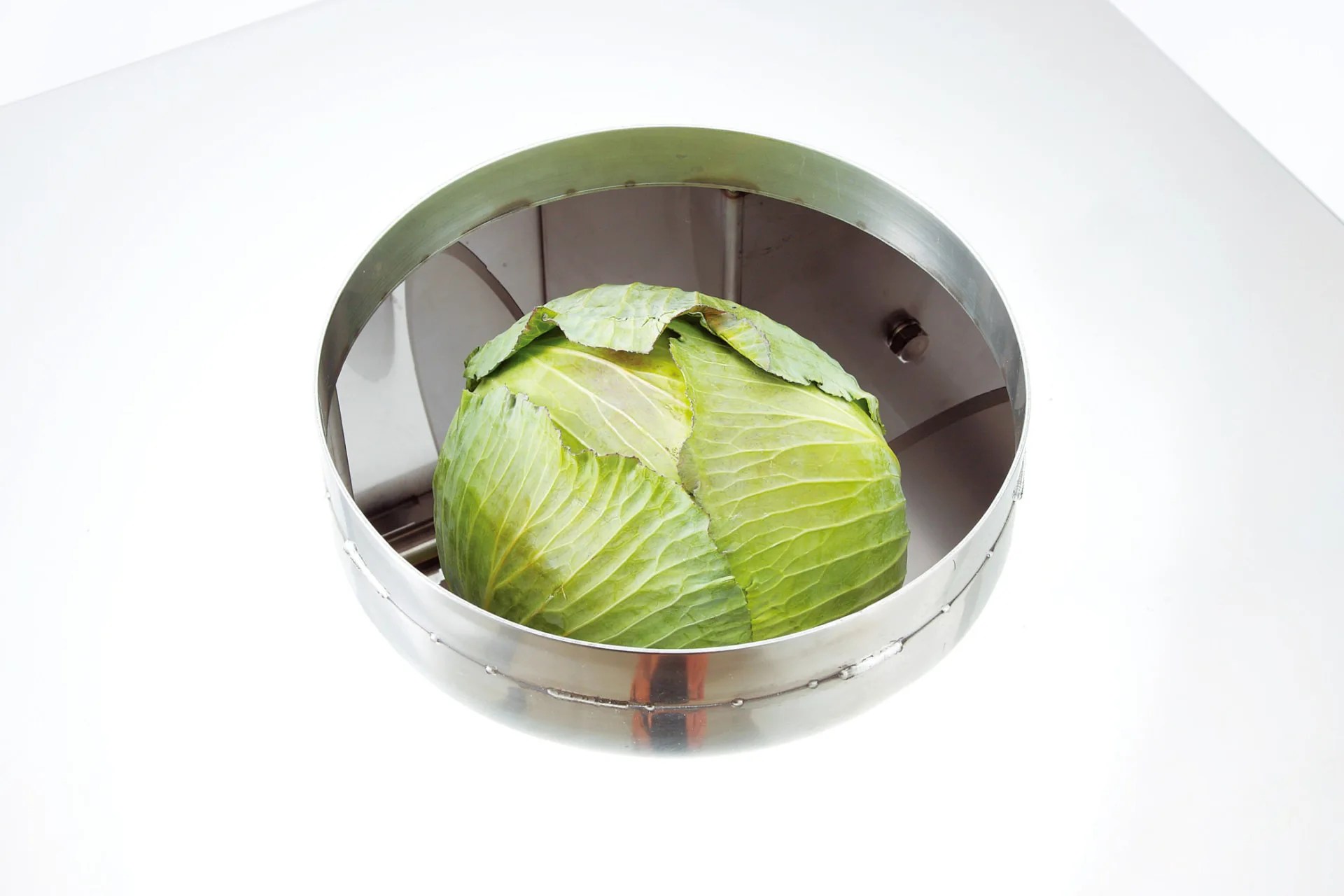 F-V4CH｜製品一覧｜野菜加工機、フードスライサーのことなら 株式会社