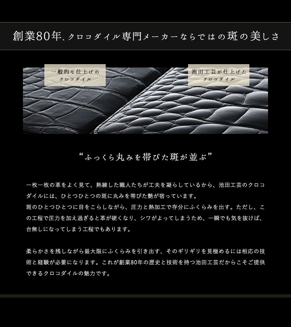 池田工芸】日本最大のクロコダイル専門店が贈る 100万円が入る長財布