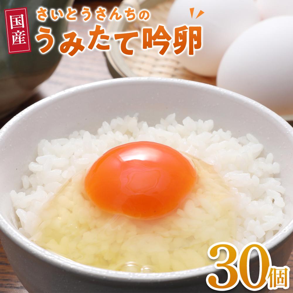 楽天市場】【ふるさと納税】＼うみたて出荷／ 卵 30個 | たまご 玉子