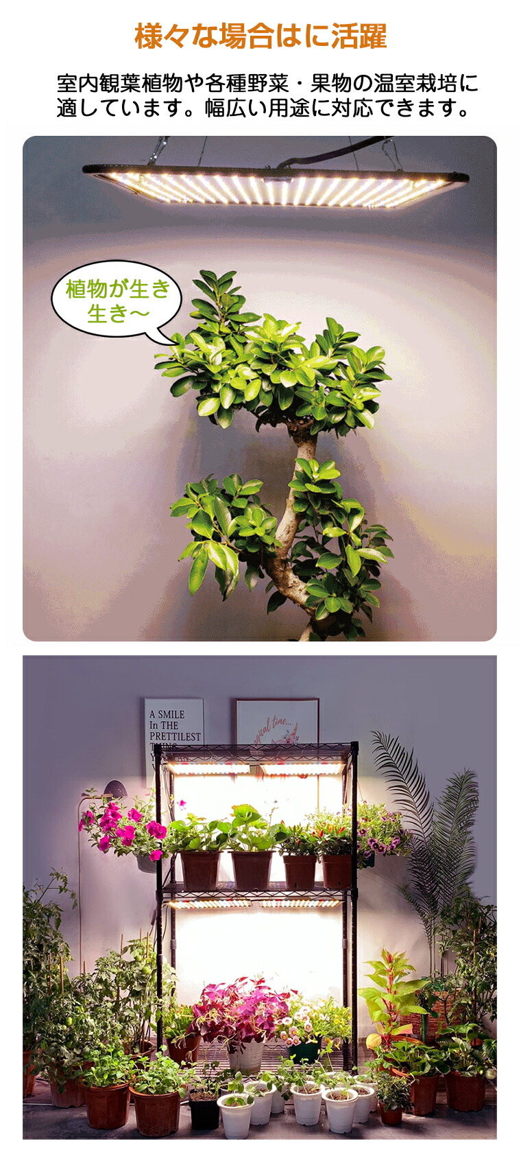 楽天市場】【500個LED】植物育成ライト LED パネル 屋内 屋外用 フル