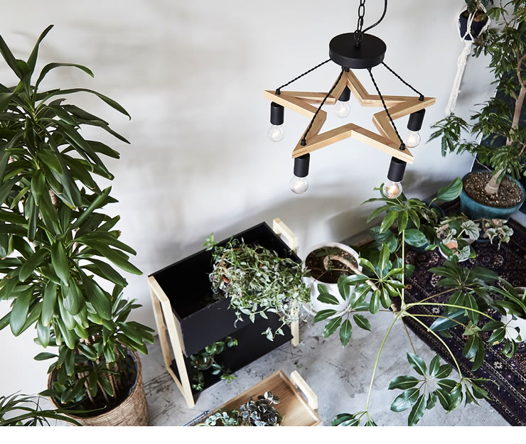 電球プレゼント】BRID（ブリッド） 5灯ウ ペンダントライト｜天井照明