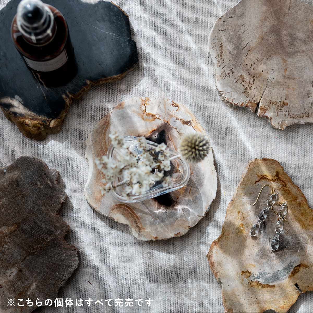 個体が選べます amabro 珪化木 ウッドコースター ナチュラル – くらす