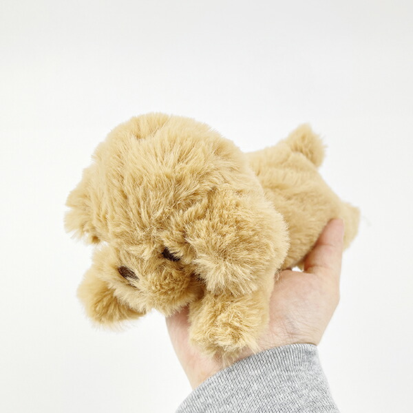 くたっとびより トイプードル マスコット ぬいぐるみ