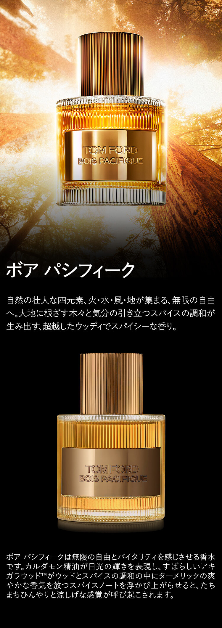 楽天市場】【ポイント20倍｜2/18 0:00〜2/25 23:59】トム フォード