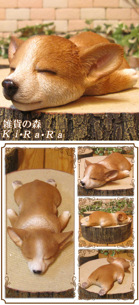 楽天市場】犬の置物 ウェルシュ コーギー まったりドッグ ワンちゃん