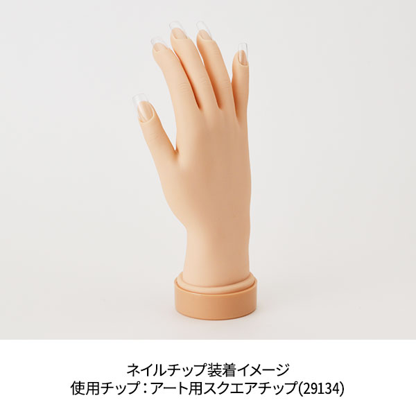 楽天市場】ネイル ハンド 練習 トレーニングハンド 右手 練習用 手 指