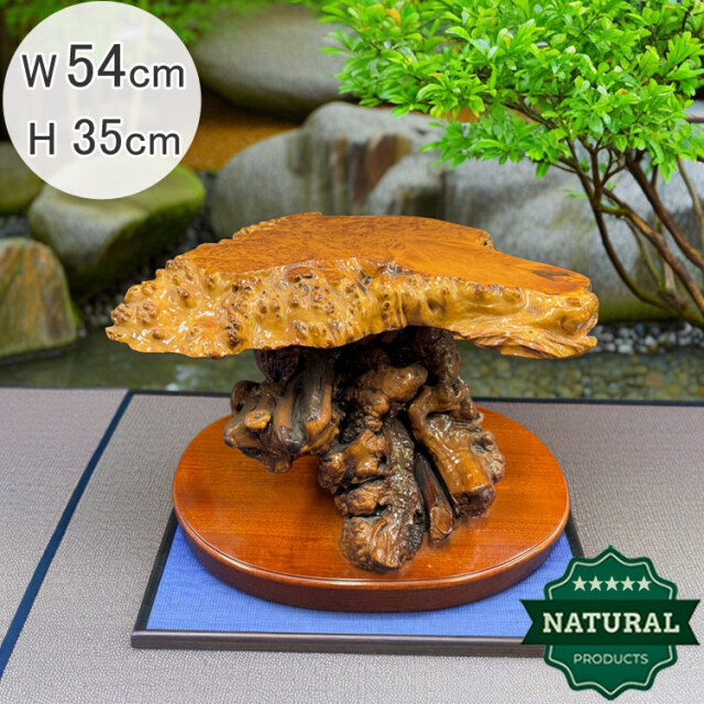 天然木 瘤（こぶ） 飾り台 花台 変木台 アウトレット 展示品 【商品