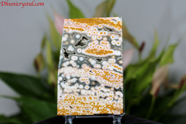 オーシャンジャスパー/スライス(D744）