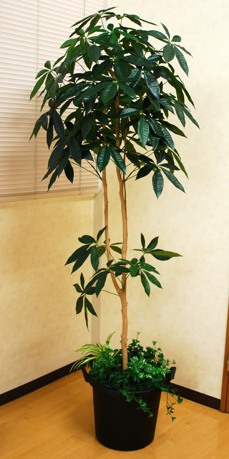 光触媒 光の楽園 パキラツリー 高さ 1.8m【インテリア フェイク