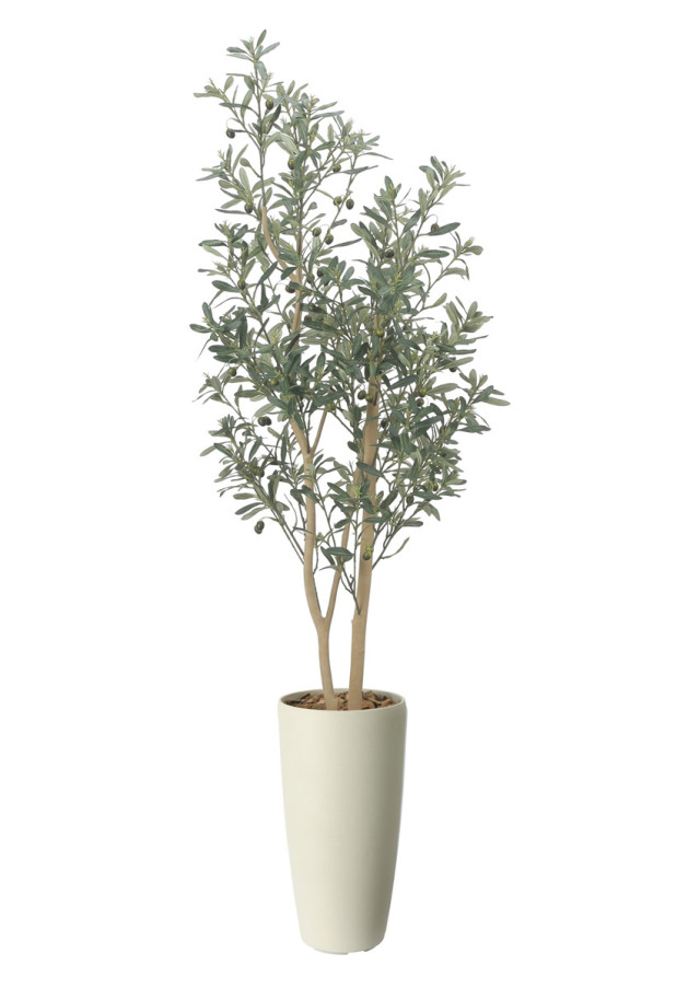 光触媒 光の楽園 ウッドボックスマウンテンアッシュ1.6m【インテリア