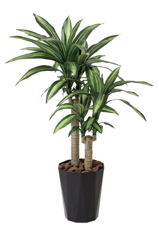 光触媒 人工観葉植物 幸福の木（ドラセナ）【光の楽園】