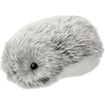 51CA7NhmjkL._AC_UL210_SR210,