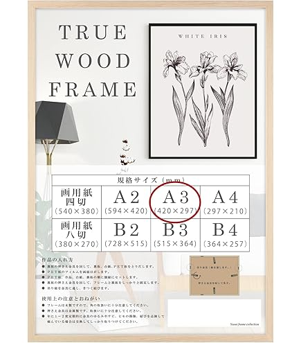 Amazon.co.jp: ロッキンジェリービーン Rockin'Jelly Bean × 聖京香