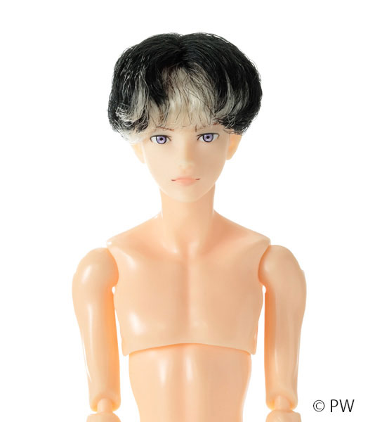 六分の一男子図鑑 B2403 エイト 完成品ドール[ペットワークス]【送料