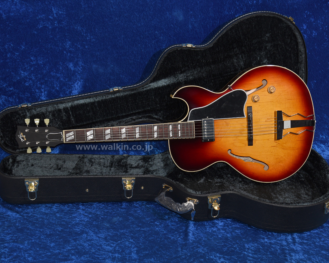 Archtop Tribute AT105M（新品）【楽器検索デジマート】