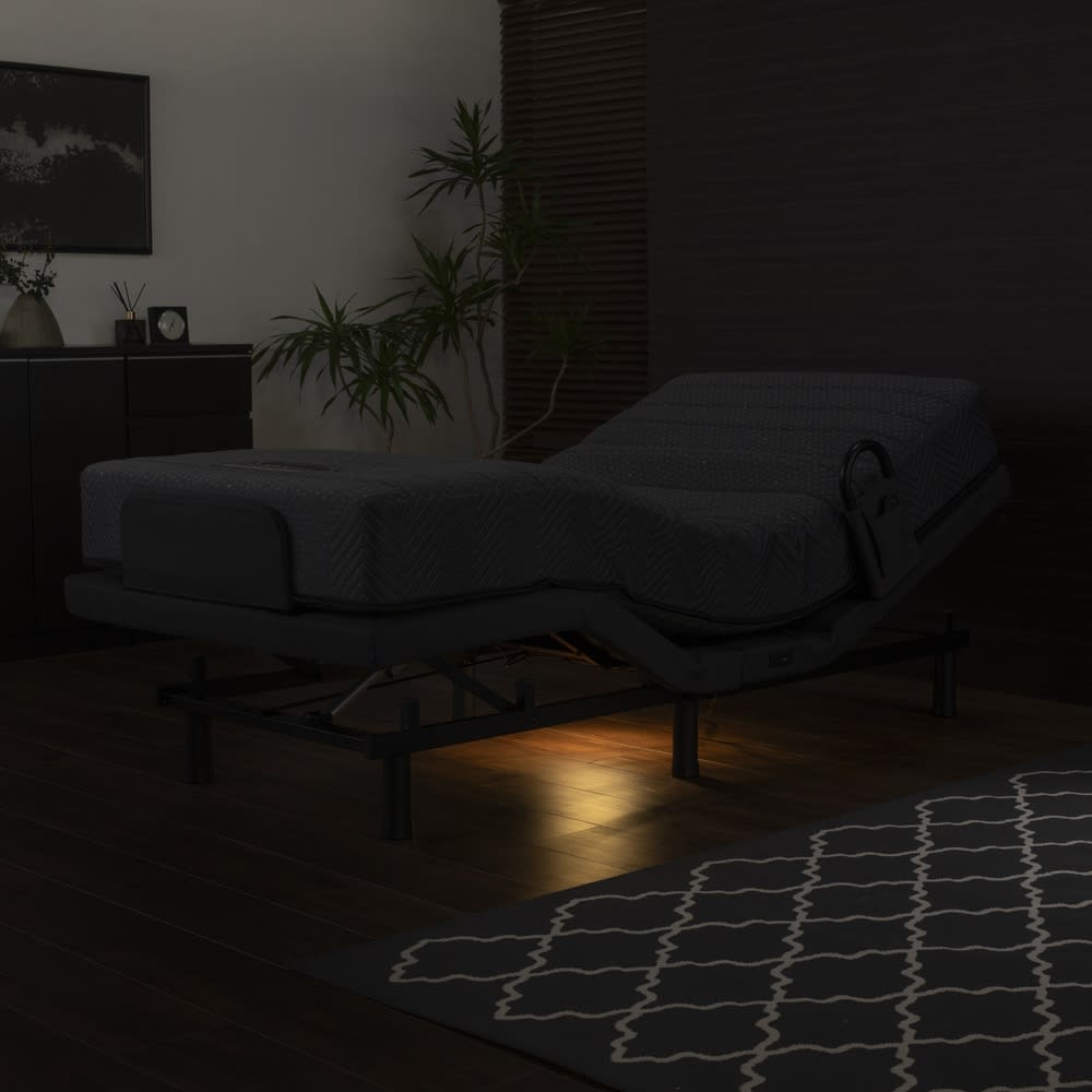 アンネルベッド「ディスカバリー」 アーバンモダンデザイン電動ベッド