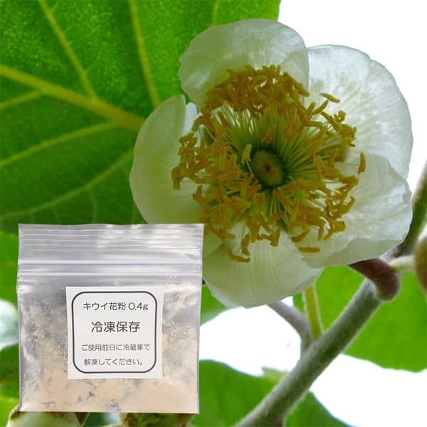 園芸ネット本店｜キウイの花粉（キウイフルーツ受粉用） の通販【公式】