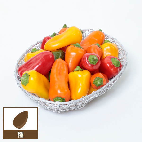 園芸ネット本店｜パプリカ：ぱぷりーな の種[サカタ 野菜タネ 「おうち