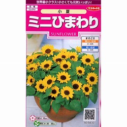園芸ネット本店｜ヒマワリ：ひまわりコレクション[タキイ 花タネ] の