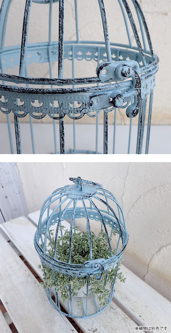 園芸ネット本店｜バードケージ2M／ABBG17-M20（ライトブルー） の通販