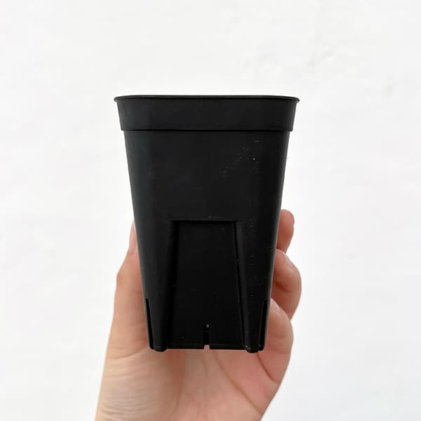 園芸ネット本店｜プレステラ75型 深鉢 ブラック 100個セット の通販