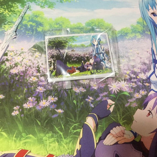 SAO プレイマット スリーブ アスナ ユウキの通販 by あぽ｜ラクマ