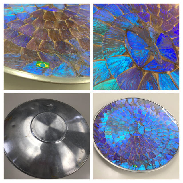 セール中‼️蝶の羽◇標本◇壁掛け◇巨大◇ブルー🦋◇モルフォ蝶