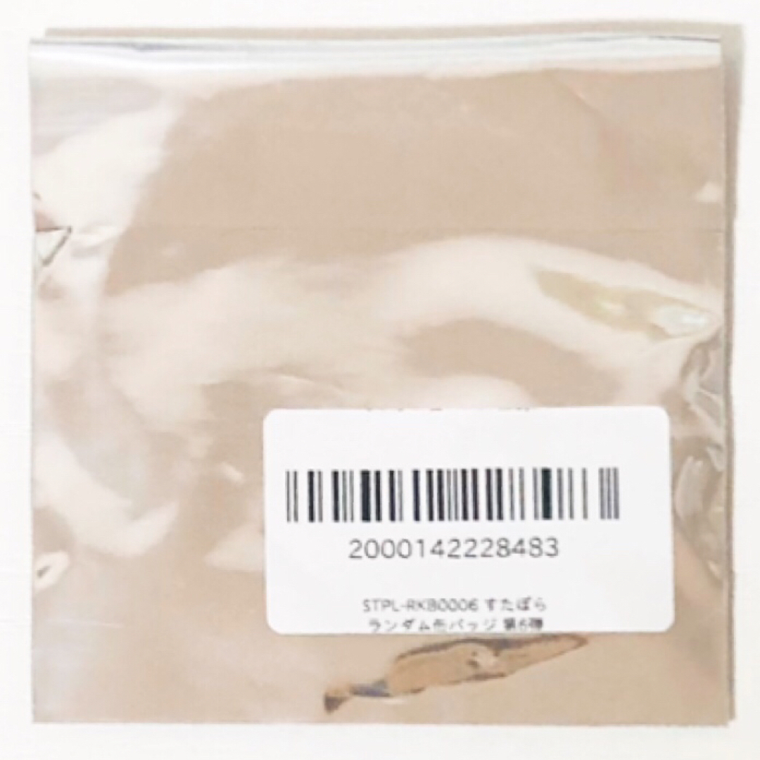 新品☆すたぽら【Relu】すたぽらってなぁに？ ☆缶バッジ☆第6弾☆4点