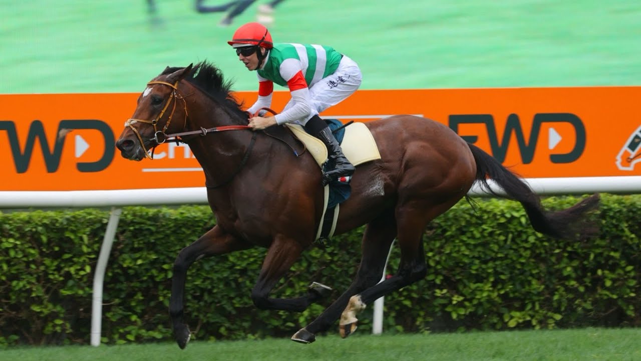 牝馬三冠達成のリバティアイランドが香港・クイーンエリザベス2世