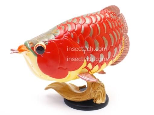 動物の惑星】アジアアロワナ（紅龍）フィギュア - 昆虫採集・昆虫標本