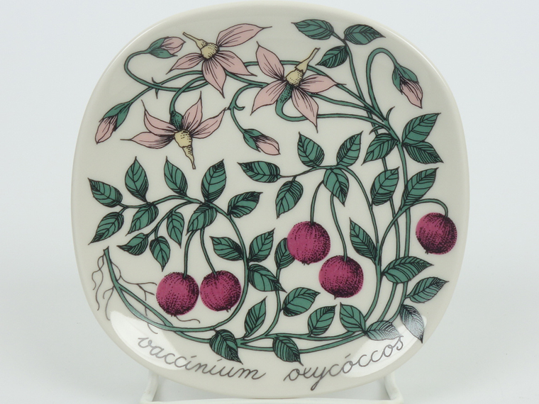 ARABIA/アラビア Botanica/ボタニカ vaccinium oxycoccos(クランベリー