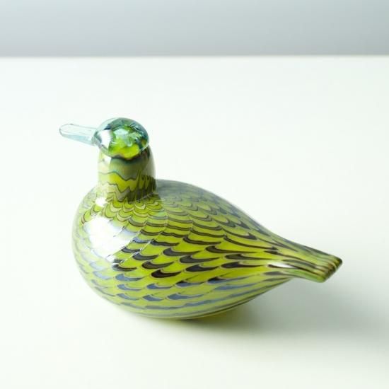 OIVA TOIKKA Bird Common Teal Female