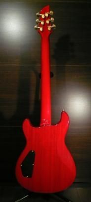 中古】 FERNANDES APG-100 - 中古楽器の販売 ロトミュージック 公式サイト