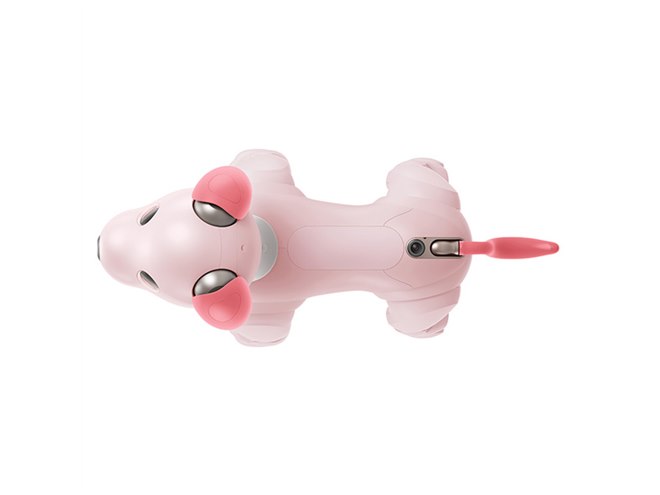 ソニー、「aibo」の2022年カラー「いちごミルク エディション」を本日1