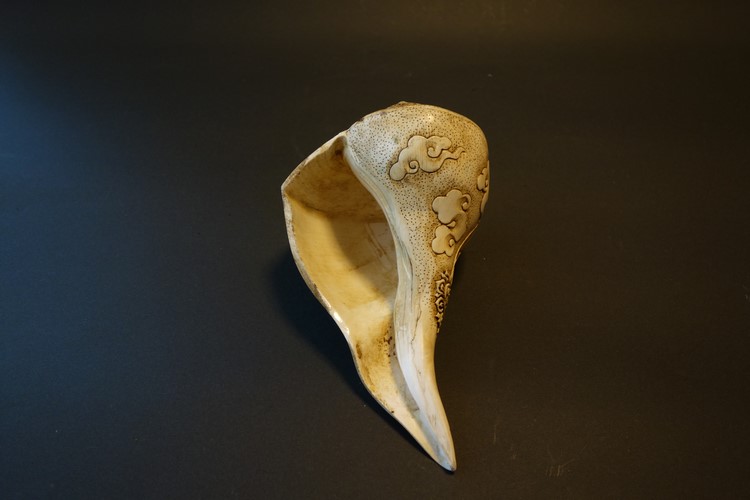 ほら貝・法螺貝・ホラガイ（シャンカ） 文殊菩薩 販売｜大阪 多羅堂