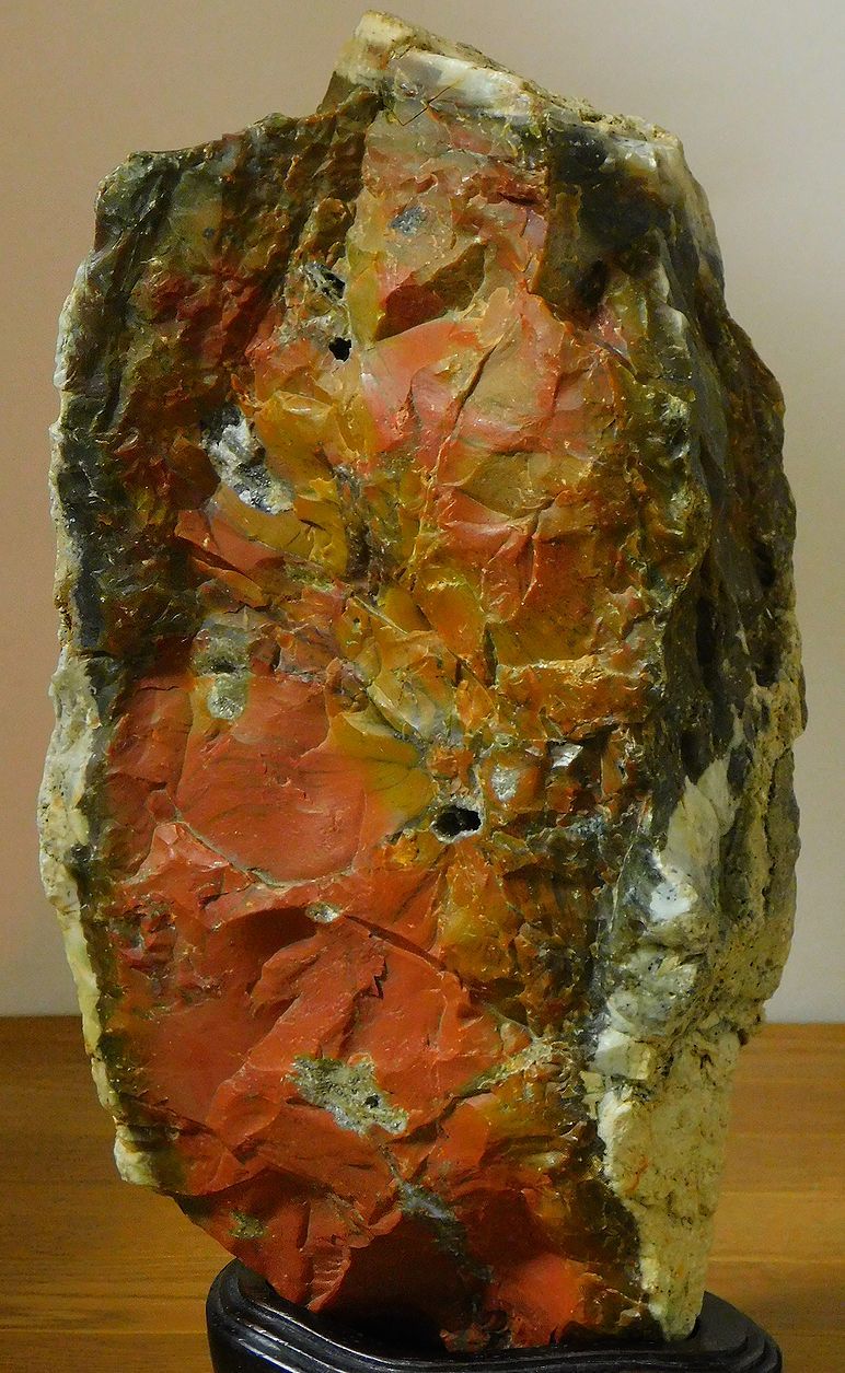 緑亀神 亀龍石 緑碧 嵐渓石 土岐石 出雲石 水石 鑑賞